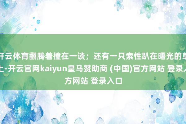 開云體育翻騰著撞在一談；還有一只索性趴在曙光的草地上-開云官網kaiyun皇馬贊助商 (中國)官方網站 登錄入口
